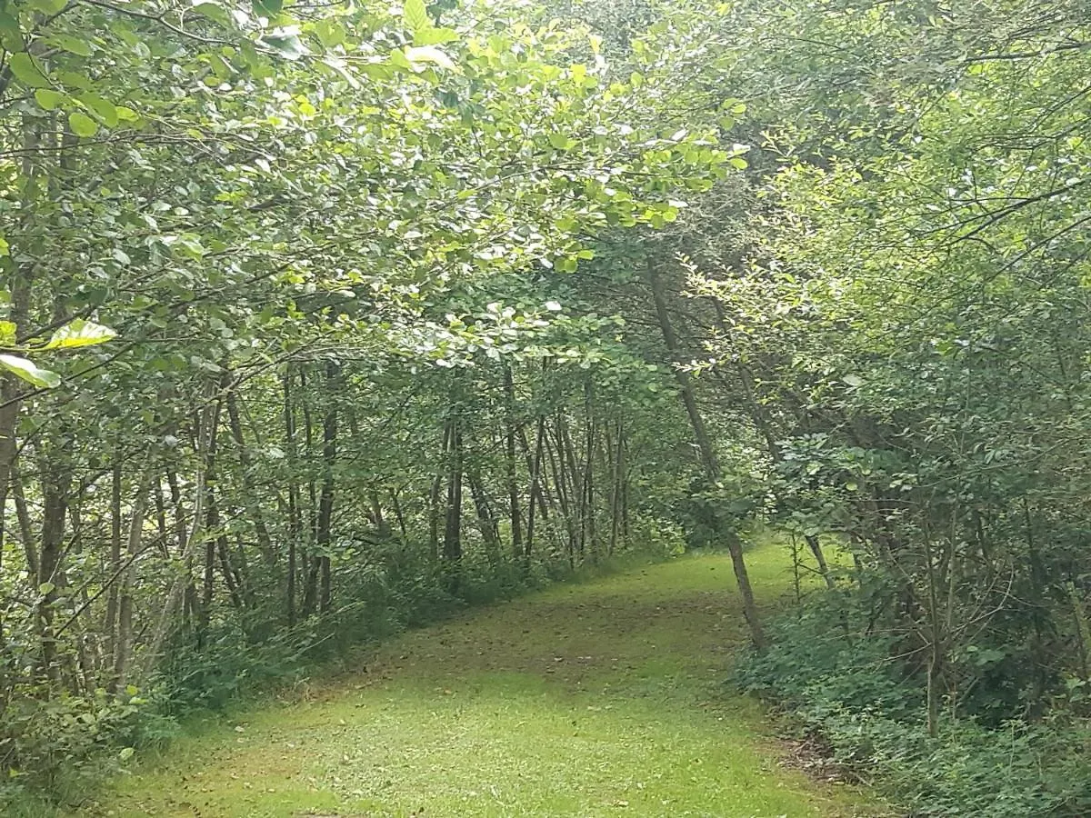 Holiday home A Private Lakeside Retreat-Do You Love Nature Renac
