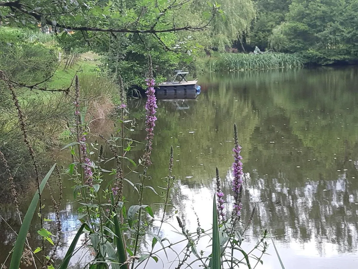 A Private Lakeside Retreat-Do You Love Nature Renac Holiday home