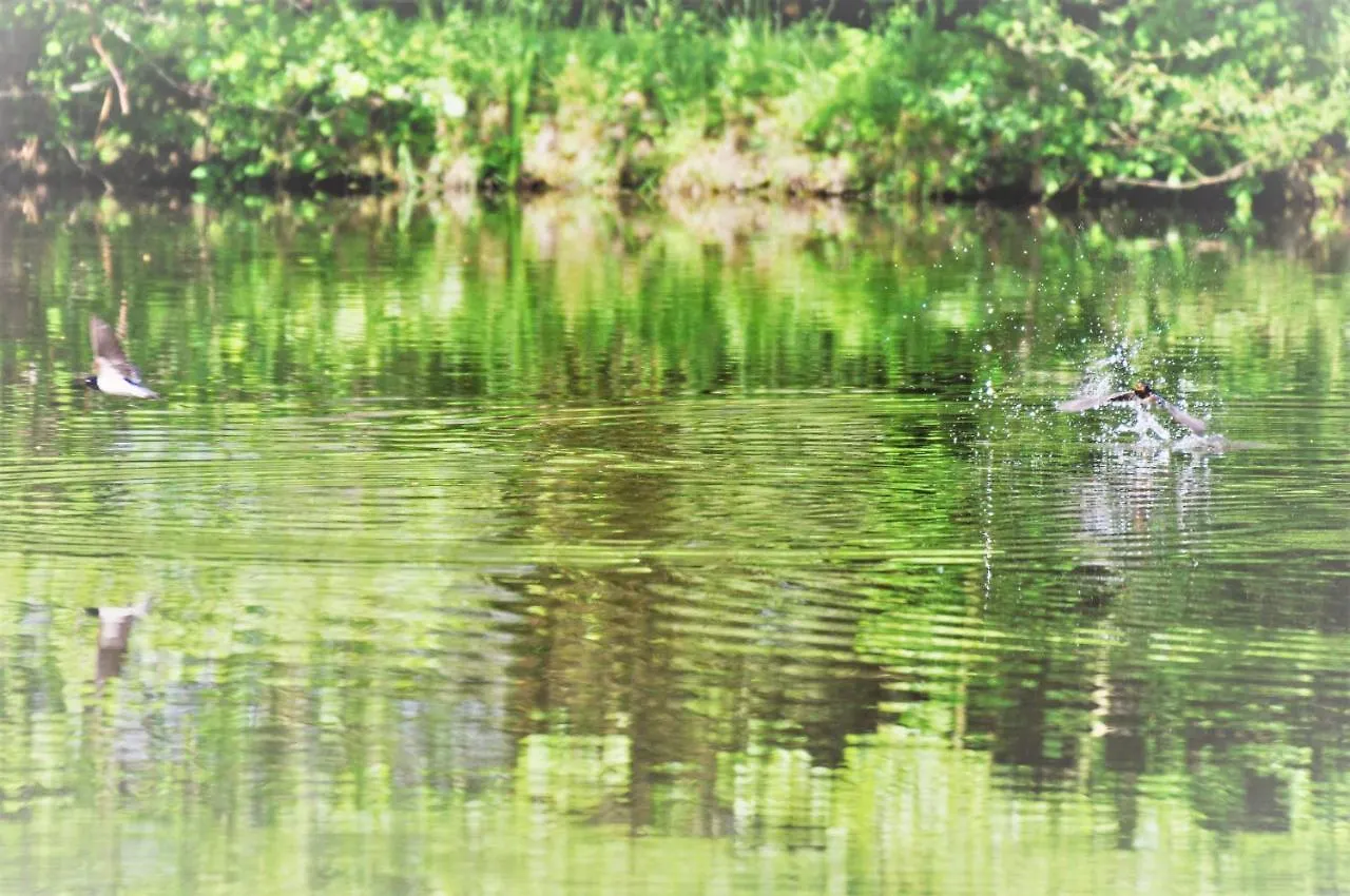 Holiday home A Private Lakeside Retreat-Do You Love Nature Renac